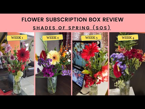 Flower Subscription Service | Shades Of Spring Flowers Subscription Review | SOS Flower Subscription