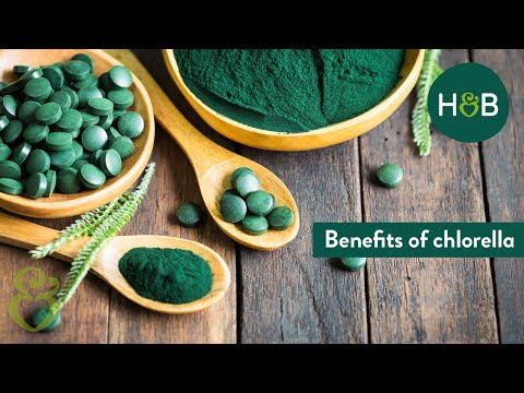 Chlorella: Benefits and 4 Reasons to Try | Holland & Barrett