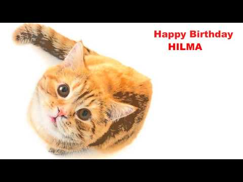 Hilma  Cats Gatos - Happy Birthday