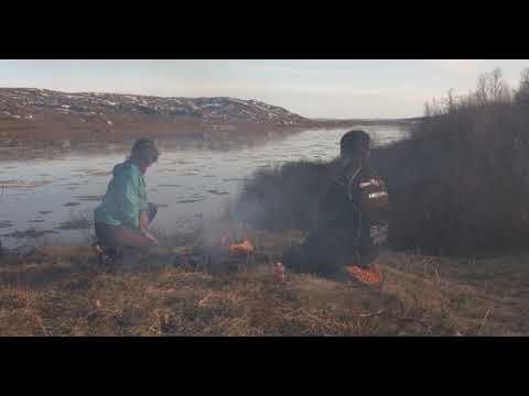 Vårløsning og isgang i Tanaelva