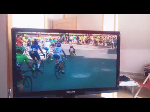 Konik kucyk goni peleton Tour de Pologne 2017