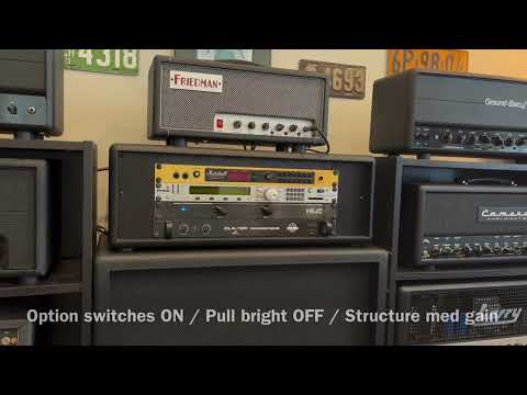 Friedman Dirty Shirley mini with added option switches and pull bright