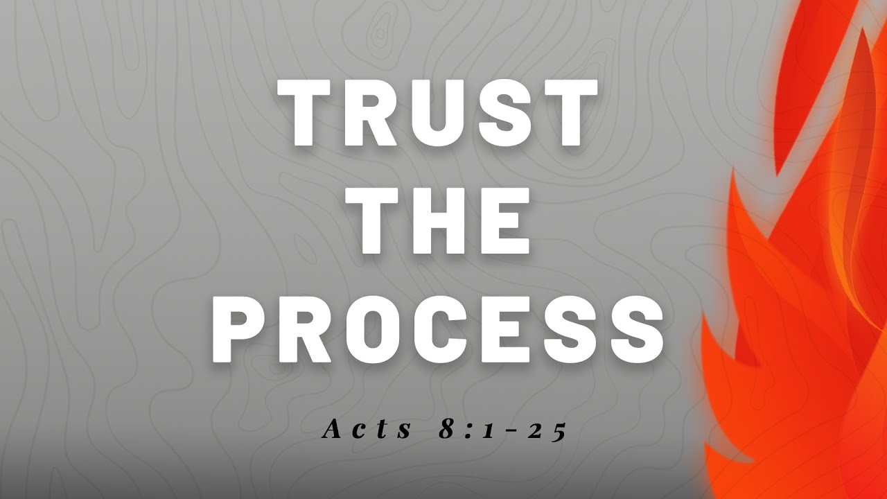 Trust the Process