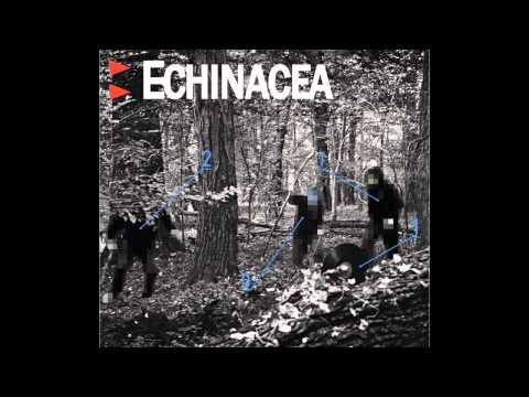 Echinacea - Cogifonia Feat. Tema Temzki, DJ Kebs