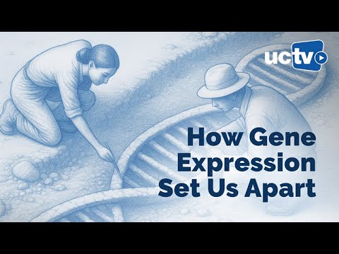 CARTA: Evolutionary Switches - How Regulatory Variants Shaped Human Evolution with David Gokhman