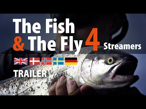 The Fish & The Fly 4 Streamers