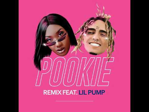 👑 Aya Nakamura Ft. Lil Pump  🖌 Pookie (Remix)