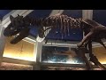 Dinosaur Full Ride Disney S Animal Kingdom Walt Disney World 2018