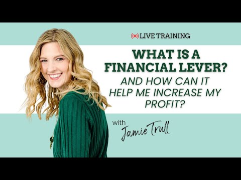 What is a Financial Lever and how can it help me increase my profit?