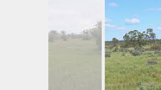 Lot 158 Old Loxton Road, Swan Reach