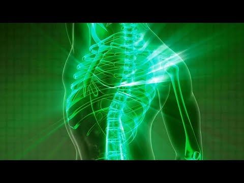 ERKENNE DICH SELBST - ZELLFEUER // Dein Weg zur Gesundheit, Teil II