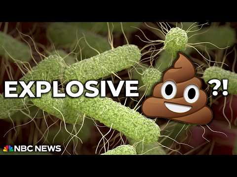 Contaminated lettuce, jalapenos, and eggs? What's Going On?!