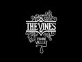 Fuk Yeh - The Vines