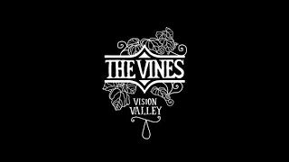 Fuk Yeh - The Vines