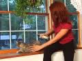 PetMD As Seen On TV Commercial