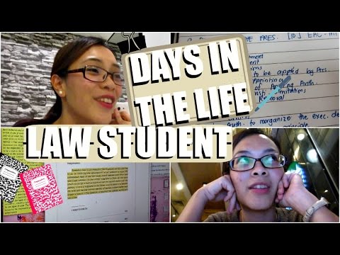 What is a dissertation picture