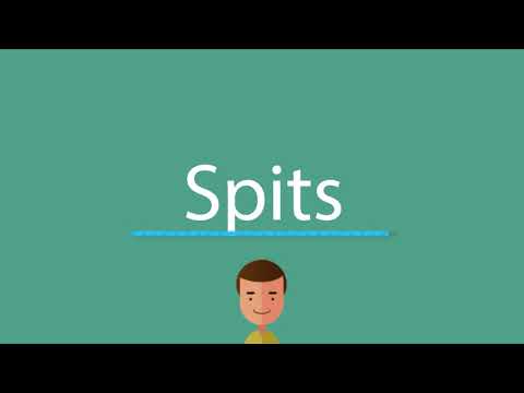 Spits pronunciation