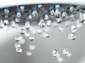 The Shower People