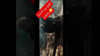 دنزل واشنطن: لا تخلط بين التحرك والتقدم 😱