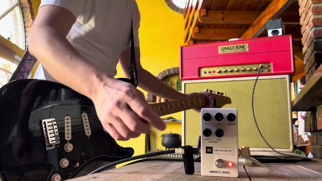 Delay IANNUCCI AUDIO