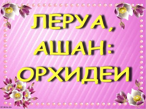 ПРЕКРАСНЫЕ завозы ОРХИДЕЙ:Леруа,АШАН,29.01.21,ТЦ "Космопорт",Самара.