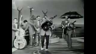 Rock Around The Clock - Bill Haley &amp; His Comets 1954