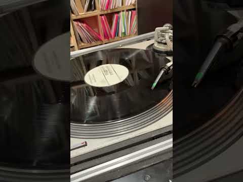 Scion Sashay Success - No Worry you Mind