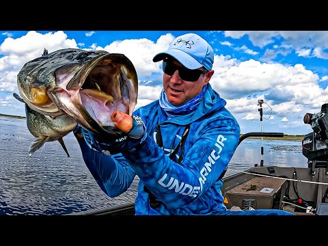 Headwaters Lake Monster Bass!