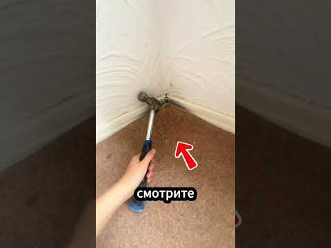 Она сняла ковёр и обнаружила настоящий сюрприз! ( _@finley.ayres )