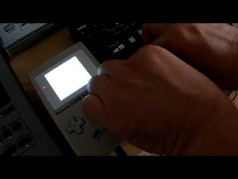 duality micro - low batteries