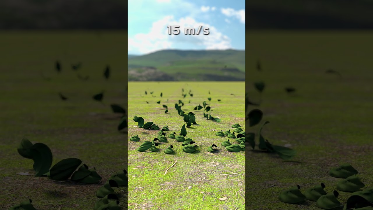 [4K, 60fps] 1 vs 30 m/s Tornado Wind on Leaves 🍃