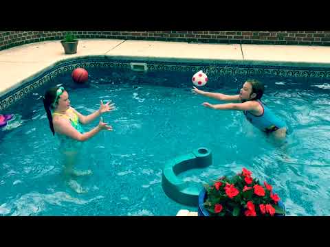 The Tale Of Two Mermaids Or Dolphins