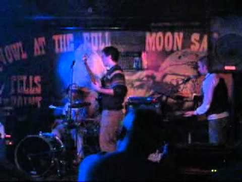 The Data Frogs at The full moon saloon