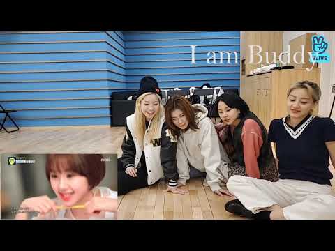 Twice react to Special Song With Each Member's Name