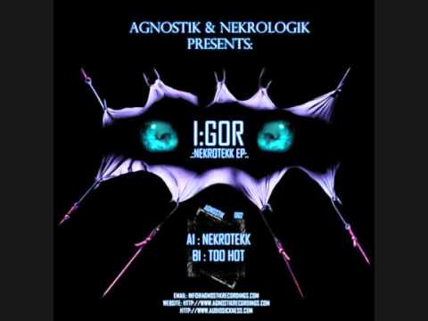 I:gor - Nekrotekk (AGN002)