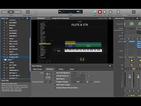 Recording and Live MS Tones//STUDIO USE AND LIVE// FREE DOWNLOAD