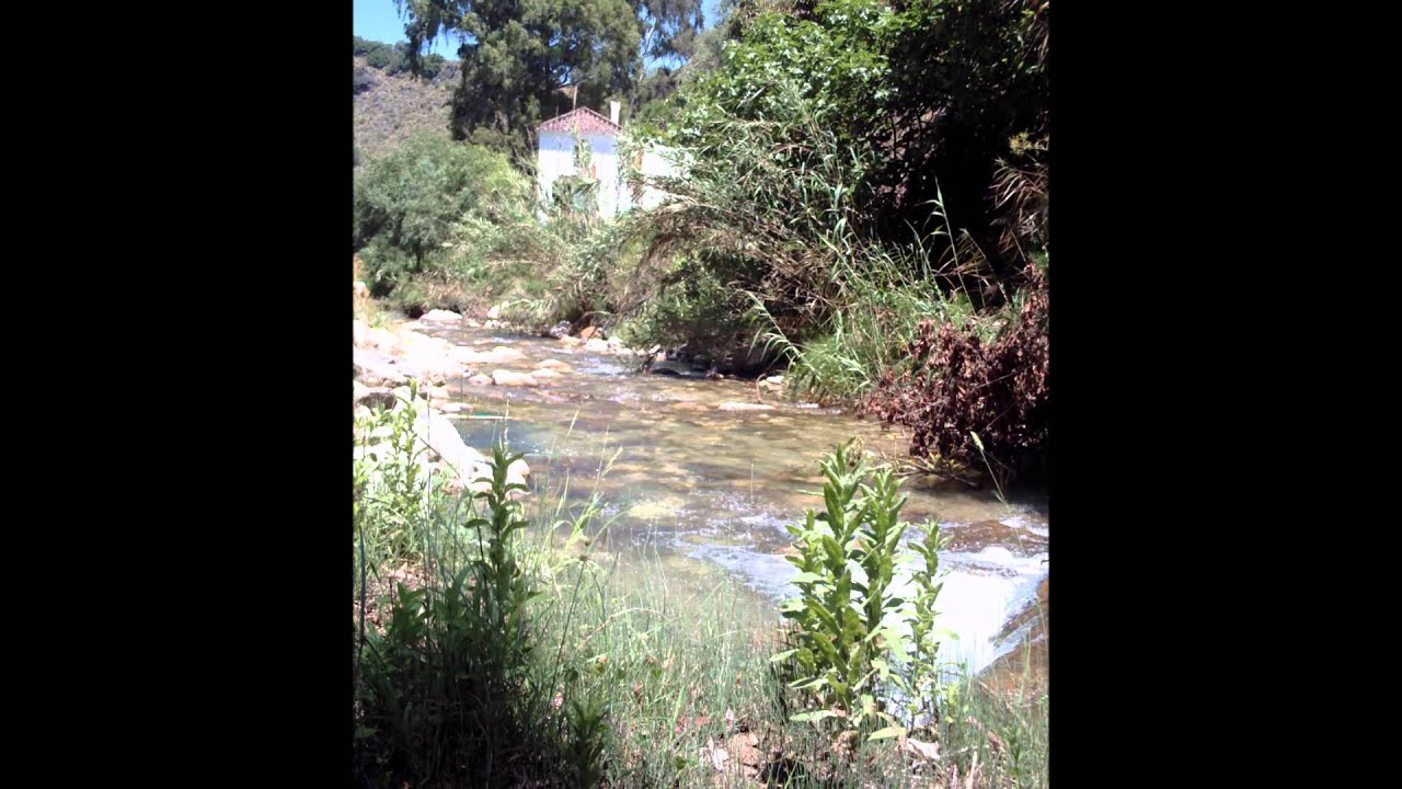 Vacaciones inteligentes ocio y salud