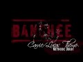 Carrie/Lucas Theme - Methodic Doubt (Banshee ...
