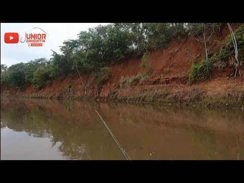 É DIFÍCIL EMBARCAR ESSE PEIXE, PESCARIA NO RIO IVINHEMA