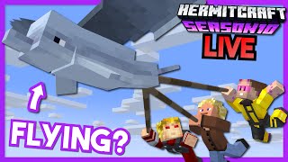 Zedaph's recent Youtube video thumbnail