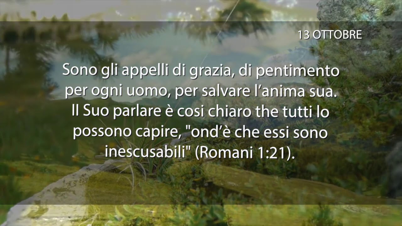 Meditazione del 13 Ottobre 2018 “AVVERTIMENTI DIVINI”