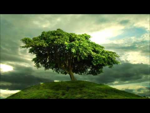 Ronny K vs. Samuel Barber - Adagio For Strings