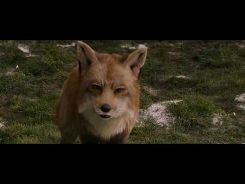 The Chronicles of Narnia - Fox To Stone (HD)