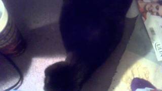Keke on 'Nip