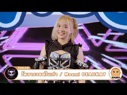 Maemi DEADKAT [Fancam] โพลารอยด์ใบเก่า / DEADKAT | WCS Thailand 2023 :: 10 JUN 2023