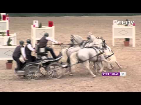FEI World Cup™ Driving 2013/14 Leipzig - Isbrand Chardon 2nd Place