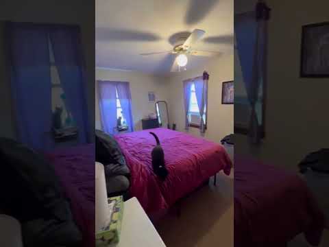 38 Woodhill Court property video