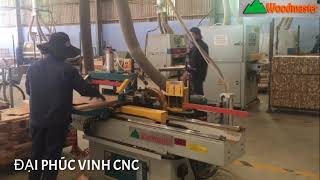 MÁY PHAY MỘNG FINGER TỰ ĐỘNG THUỶ LỰC WOODMASTER