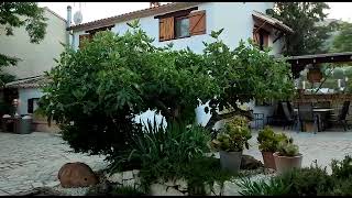 Video del alojamiento Sierra de Burete