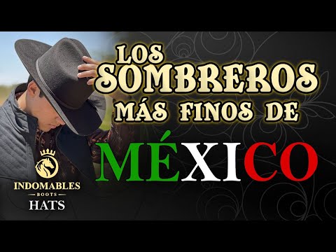 Sombreros Finos de indomables Hats #sombrero #vaquero #vaqueros #elegante  #chinchilla #conejo #gto